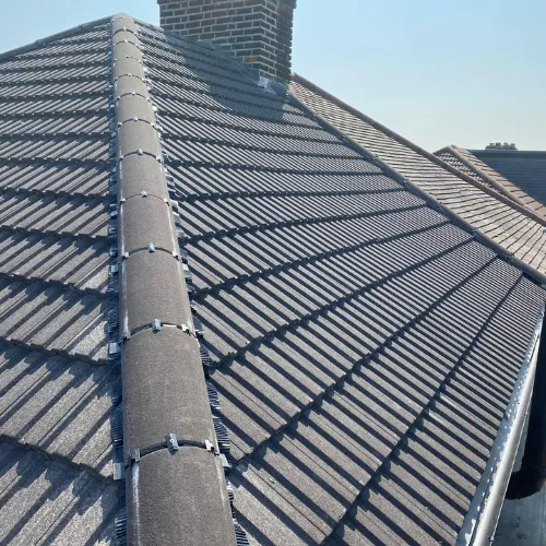 Recent roof project